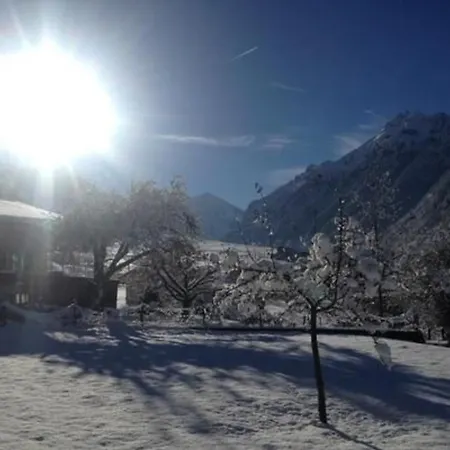 Flaedermuus Lejlighed Frutigen